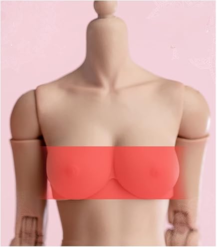 Amazon.co.jp: [Tbmodel] Worldbox 1/6 フィギュア 女性 バスト 胸